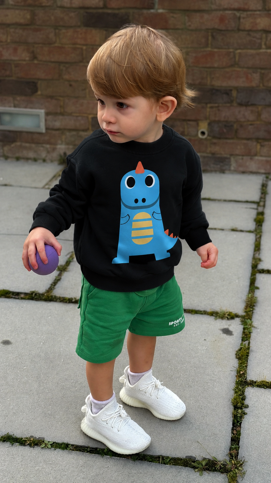 Moletom Infantil | Pequeno Dino
